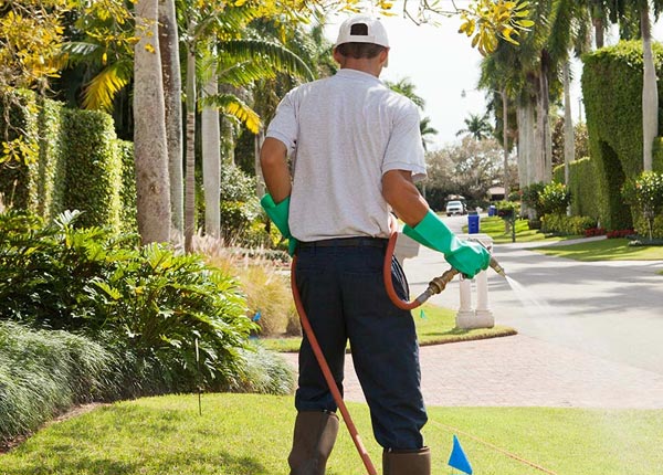 About Walburg TX Pest Control